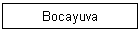 Bocayuva