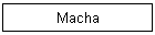 Macha