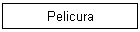 Pelicura